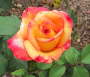 023