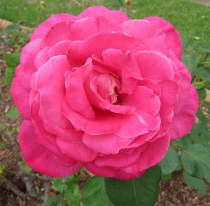 025