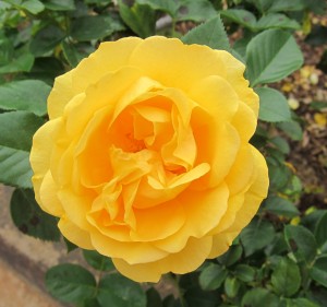 026